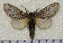  ( - nt020)  @14 [ ] Unspecified (default): All Rights Reserved  Unspecified Unspecified