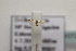  ( - BC ZSM Lep 107209)  @11 [ ] CreativeCommons - Attribution Non-Commercial Share-Alike (2019) SNSB, Staatliche Naturwissenschaftliche Sammlungen Bayerns ZSM (SNSB, Zoologische Staatssammlung Muenchen)