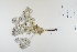 ( - CP0012310)  @11 [ ] CreativeCommons  Attribution Non-Commercial No Derivatives (2022) Herbarium C Natural History Museum of Denmark