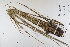  ( - CP0012358)  @11 [ ] CreativeCommons  Attribution Non-Commercial No Derivatives (2022) Herbarium C Natural History Museum of Denmark