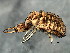  ( - BIOUG00864-D12)  @13 [ ] CreativeCommons - Attribution (2011) CBG Photography Group Centre for Biodiversity Genomics