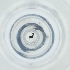  ( - MOZZ00000901A_F7)  @11 [ ] by  Genome Research Ltd as Wellcome Sanger Institute Genome Research Limited operating as Wellcome Sanger Institute