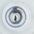  ( - MOZZ00000901A_H10)  @11 [ ] by  Genome Research Ltd as Wellcome Sanger Institute Genome Research Limited operating as Wellcome Sanger Institute