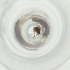  ( - MOZZ00000903A_A11)  @11 [ ] by  Genome Research Ltd as Wellcome Sanger Institute Genome Research Limited operating as Wellcome Sanger Institute