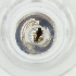  ( - MOZZ00000903A_D11)  @11 [ ] by  Genome Research Ltd as Wellcome Sanger Institute Genome Research Limited operating as Wellcome Sanger Institute