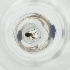  ( - MOZZ00000903A_G7)  @11 [ ] by  Genome Research Ltd as Wellcome Sanger Institute Genome Research Limited operating as Wellcome Sanger Institute