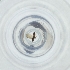  ( - MOZZ00000905A_E5)  @11 [ ] by  Genome Research Ltd as Wellcome Sanger Institute Genome Research Limited operating as Wellcome Sanger Institute