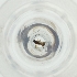  ( - MOZZ00000906A_E7)  @11 [ ] by  Genome Research Ltd as Wellcome Sanger Institute Genome Research Limited operating as Wellcome Sanger Institute