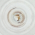  ( - MOZZ00000907A_F3)  @11 [ ] by  Genome Research Ltd as Wellcome Sanger Institute Genome Research Limited operating as Wellcome Sanger Institute