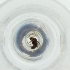  ( - MOZZ00000959A_B1)  @11 [ ] by  Genome Research Ltd as Wellcome Sanger Institute Genome Research Limited operating as Wellcome Sanger Institute