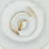 ( - MOZZ00000961A_B12)  @11 [ ] by  Genome Research Ltd as Wellcome Sanger Institute Genome Research Limited operating as Wellcome Sanger Institute
