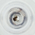  ( - MOZZ00000961A_E5)  @11 [ ] by  Genome Research Ltd as Wellcome Sanger Institute Genome Research Limited operating as Wellcome Sanger Institute