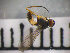  ( - SMTP100)  @13 [ ] CreativeCommons - Attribution Non-Commercial Share-Alike (2015) Unspecified University of Oslo