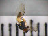  ( - SMTP101)  @12 [ ] CreativeCommons - Attribution Non-Commercial Share-Alike (2015) Unspecified University of Oslo