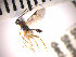  ( - SMTP126)  @12 [ ] CreativeCommons - Attribution Non-Commercial Share-Alike (2015) Unspecified University of Oslo