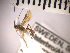  ( - SMTP138)  @12 [ ] CreativeCommons - Attribution Non-Commercial Share-Alike (2015) Unspecified University of Oslo