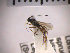  ( - SMTP172)  @12 [ ] CreativeCommons - Attribution Non-Commercial Share-Alike (2015) Unspecified University of Oslo