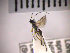  ( - SMTP173)  @12 [ ] CreativeCommons - Attribution Non-Commercial Share-Alike (2015) Unspecified University of Oslo