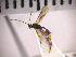  ( - SMTP177)  @12 [ ] CreativeCommons - Attribution Non-Commercial Share-Alike (2015) Unspecified University of Oslo