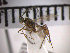  ( - SMTP179)  @12 [ ] CreativeCommons - Attribution Non-Commercial Share-Alike (2015) Unspecified University of Oslo