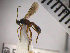  ( - SMTP198)  @12 [ ] CreativeCommons - Attribution Non-Commercial Share-Alike (2015) Unspecified University of Oslo