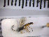  ( - SMTP390)  @12 [ ] CreativeCommons - Attribution Non-Commercial Share-Alike (2015) Unspecified University of Oslo