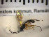  ( - SMTP415)  @11 [ ] CreativeCommons - Attribution Non-Commercial Share-Alike (2015) Unspecified University of Oslo