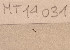  (Spio symphyta - MT14031)  @11 [ ] Unspecified (default): All Rights Reserved (2018) Pedro Martinez DZMB, Senckenberg am Meer