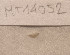  ( - MT14052)  @11 [ ] Unspecified (default): All Rights Reserved (2018) Pedro Martinez DZMB, Senckenberg am Meer
