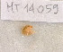  ( - MT14059)  @11 [ ] Unspecified (default): All Rights Reserved (2018) Pedro Martinez DZMB, Senckenberg am Meer