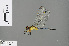  ( - RMNH.INS.505544)  @14 [ ] CreativeCommons - Attribution Non-Commercial Share-Alike (2013) Unspecified Naturalis Biodiversity Center