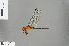  ( - RMNH.INS.505551)  @15 [ ] CreativeCommons - Attribution Non-Commercial Share-Alike (2013) Unspecified Naturalis Biodiversity Center