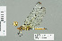  ( - RMNH.INS.508860)  @12 [ ] CreativeCommons - Attribution Non-Commercial Share-Alike (2013) Unspecified Naturalis Biodiversity Center