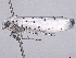  ( - BIOUG98637-C05)  @11 [ ] CreativeCommons - Attribution (2023) CBG Photography Group Centre for Biodiversity Genomics