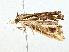  ( - BIOUG98637-H03)  @11 [ ] CreativeCommons - Attribution (2023) CBG Photography Group Centre for Biodiversity Genomics