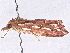  ( - BIOUG98669-B07)  @11 [ ] CreativeCommons - Attribution Non-Commercial Share-Alike (2023) CBG Photography Group Centre for Biodiversity Genomics