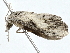  ( - BIOUG98669-C08)  @11 [ ] CreativeCommons - Attribution (2023) CBG Photography Group Centre for Biodiversity Genomics