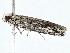  ( - BIOUG98669-E04)  @11 [ ] CreativeCommons - Attribution (2023) CBG Photography Group Centre for Biodiversity Genomics