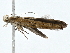 ( - BIOUG98669-F08)  @11 [ ] CreativeCommons - Attribution (2023) CBG Photography Group Centre for Biodiversity Genomics