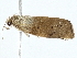  ( - BIOUG98670-C04)  @11 [ ] CreativeCommons - Attribution (2023) CBG Photography Group Centre for Biodiversity Genomics