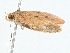  ( - BIOUG98670-D03)  @11 [ ] CreativeCommons - Attribution (2023) CBG Photography Group Centre for Biodiversity Genomics
