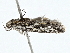  ( - BIOUG98670-E07)  @11 [ ] CreativeCommons - Attribution (2023) CBG Photography Group Centre for Biodiversity Genomics