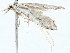  ( - BIOUG98671-D08)  @11 [ ] CreativeCommons - Attribution (2023) CBG Photography Group Centre for Biodiversity Genomics