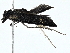  ( - BIOUG98672-C05)  @11 [ ] CreativeCommons - Attribution (2023) CBG Photography Group Centre for Biodiversity Genomics