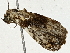  ( - BIOUG98673-G01)  @11 [ ] CreativeCommons - Attribution (2023) CBG Photography Group Centre for Biodiversity Genomics
