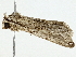  ( - BIOUG98675-H07)  @11 [ ] CreativeCommons - Attribution (2023) CBG Photography Group Centre for Biodiversity Genomics