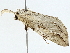  ( - BIOUG98676-F06)  @11 [ ] CreativeCommons - Attribution (2023) CBG Photography Group Centre for Biodiversity Genomics