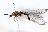  ( - BIOUG98717-C02)  @11 [ ] CreativeCommons - Attribution (2023) CBG Photography Group Centre for Biodiversity Genomics