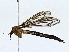  ( - BIOUG98717-D11)  @11 [ ] CreativeCommons - Attribution (2023) CBG Photography Group Centre for Biodiversity Genomics