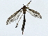  ( - BIOUG98717-D12)  @11 [ ] CreativeCommons - Attribution (2023) CBG Photography Group Centre for Biodiversity Genomics